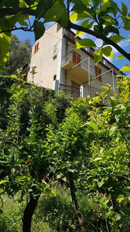 La Casa Dei Limoni Ξενοδοχείο Μοντερόσο αλ Μάρε Εξωτερικό φωτογραφία
