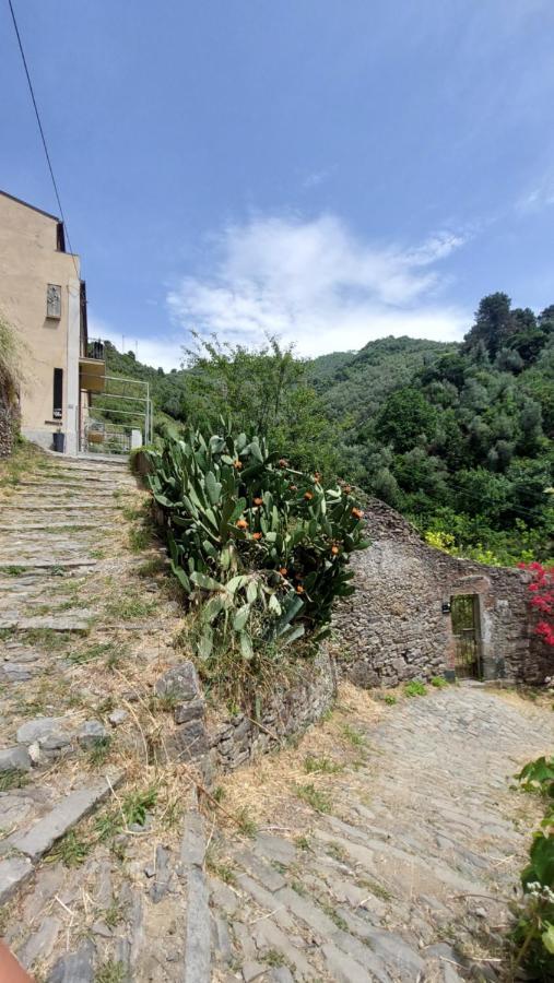 La Casa Dei Limoni Ξενοδοχείο Μοντερόσο αλ Μάρε Εξωτερικό φωτογραφία